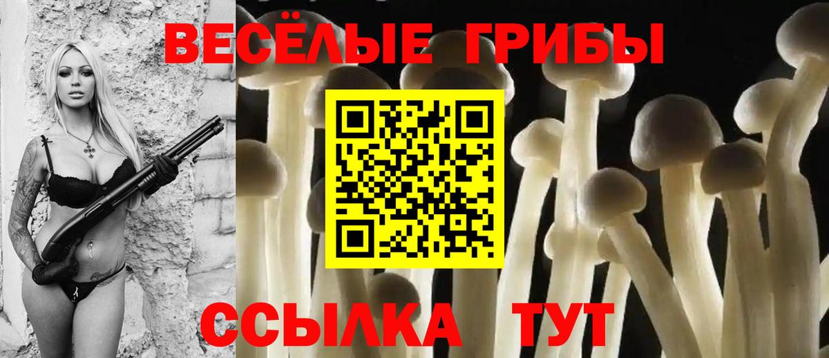 Галлюциногенные грибы Magic Shrooms  Вход с VPN  Обнинск 